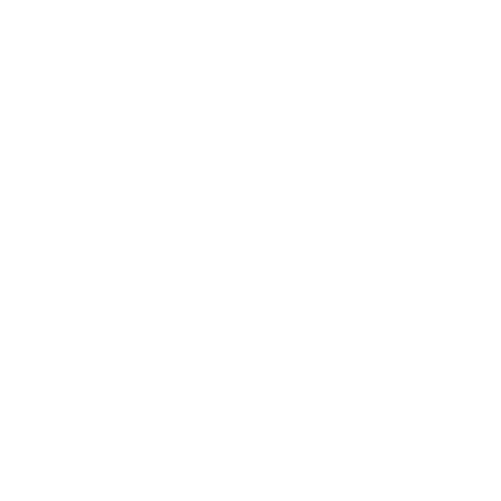 VNYFinCorp